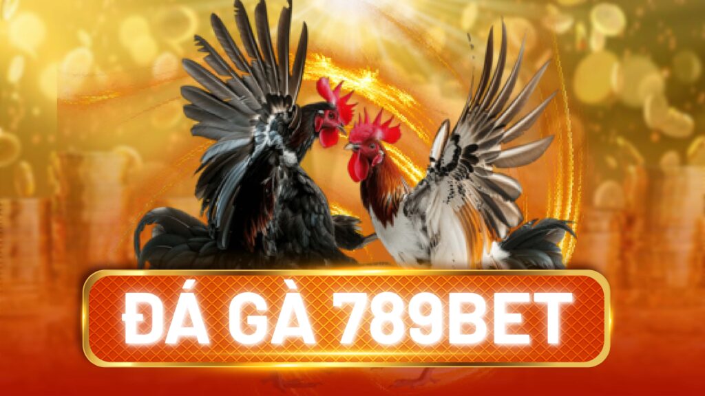 Đá gà 789bet