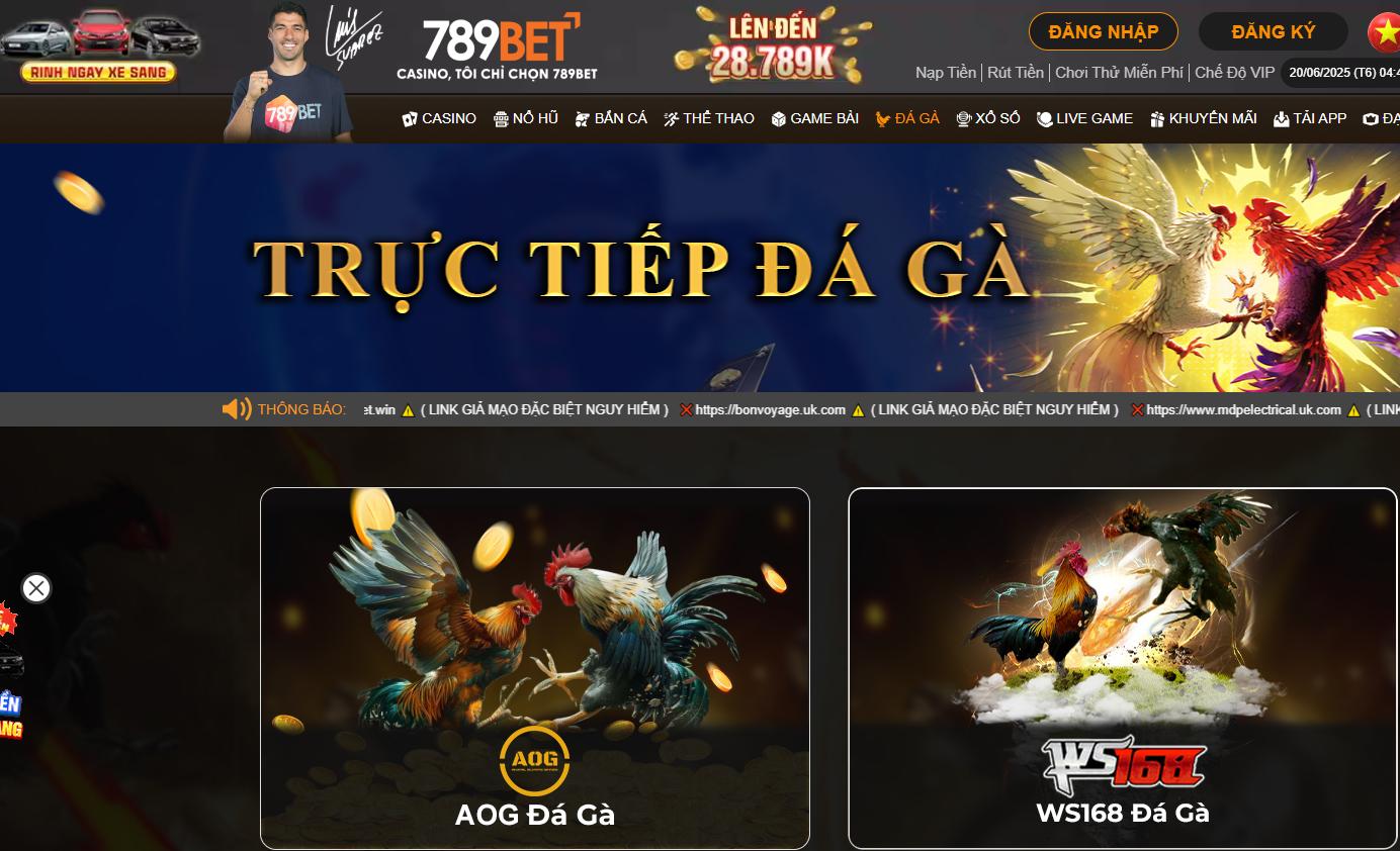 Giao diện sảnh đá gà 789bet.