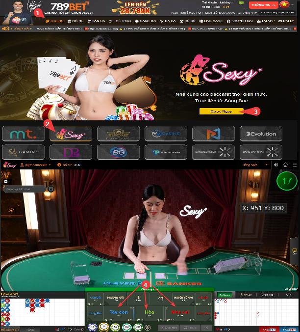 Hướng dẫn chi tiết chơi baccarat cho người mới