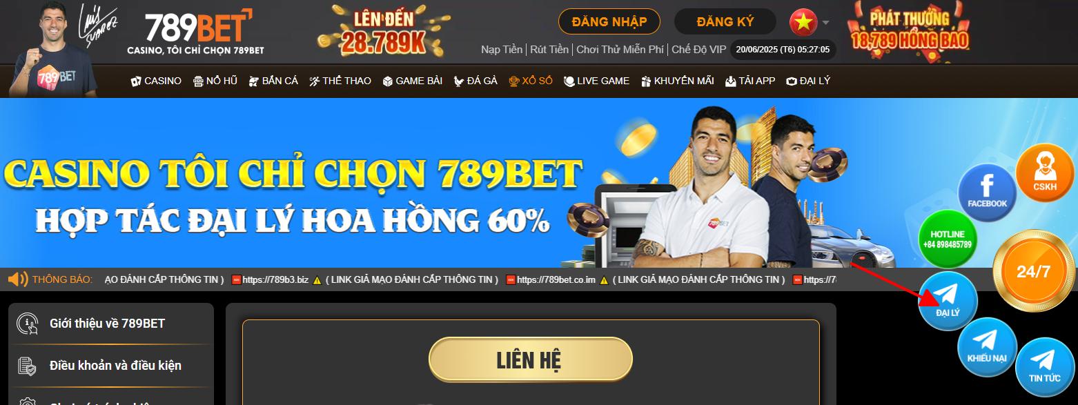 Thông tin liên hệ đại lý 789bet